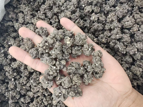 正宗野生猫爪草中药材500g新货上市价格便宜正品保证