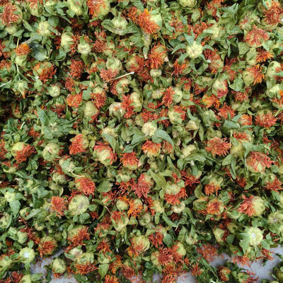 西藏藏红花正品红花果500g泡水特级红花茶红花头茶整朵(一斤)