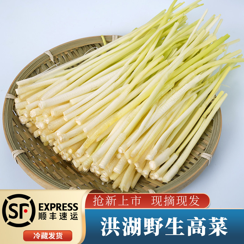 01顺丰包邮 洪湖野生高菜湖北特产篙菜蒲笋野茭白草心芦时令蔬
