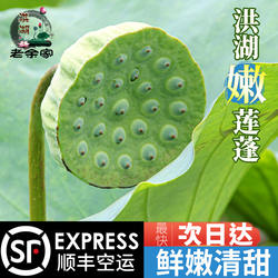 老余家洪湖莲蓬新鲜水果嫩莲子生吃零食湖北特产现摘带壳3斤顺丰