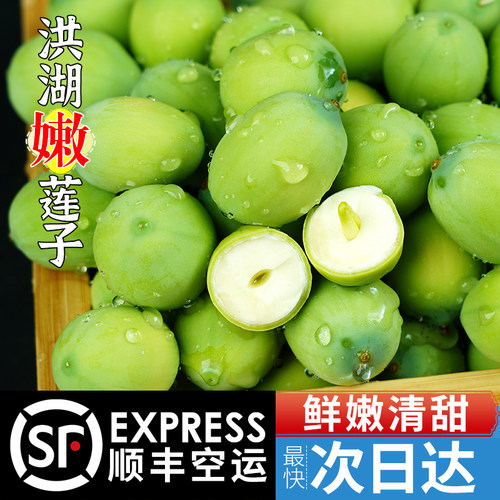 新鲜嫩莲子老余家顺丰空运