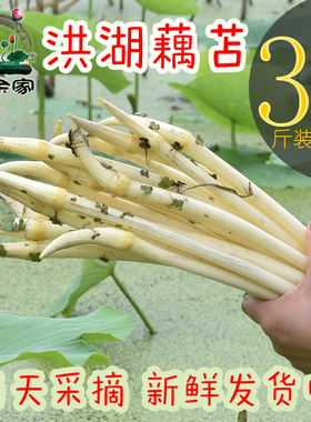 412老余家藕苫洪湖新鲜藕带嫩藕尖湖北特产莲藕带藕肠子现采现发