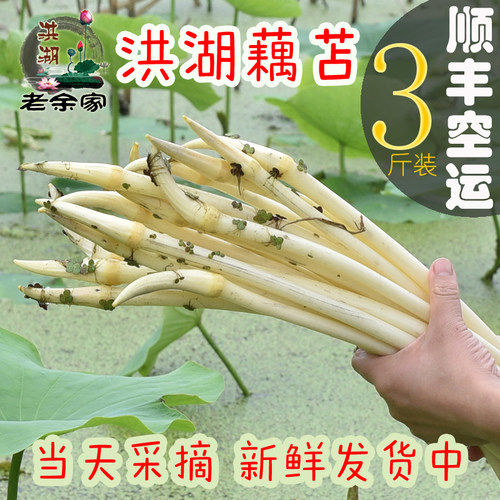 2025年新鲜藕带老余家现摘嫩藕尖
