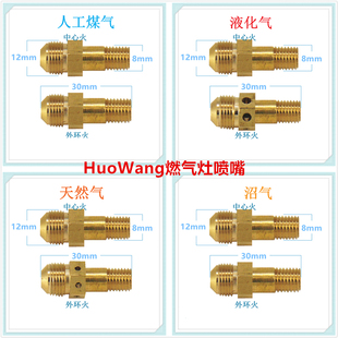 适合火王燃气灶配件喷嘴铜气嘴改气源液化气天然气人工煤气沼气