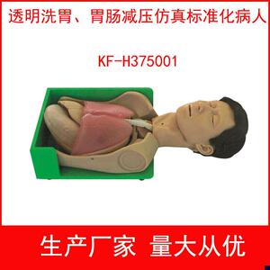 透明洗胃胃肠减压仿真标准化B病人透明洗胃模型护理技能训练