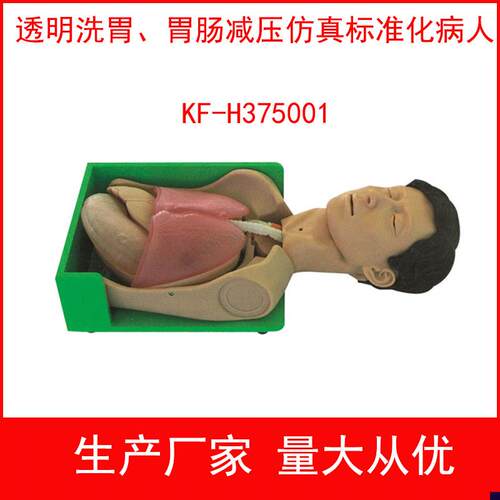 透明洗胃胃肠减压仿真标准化B病人透明洗胃模型护理技能训练