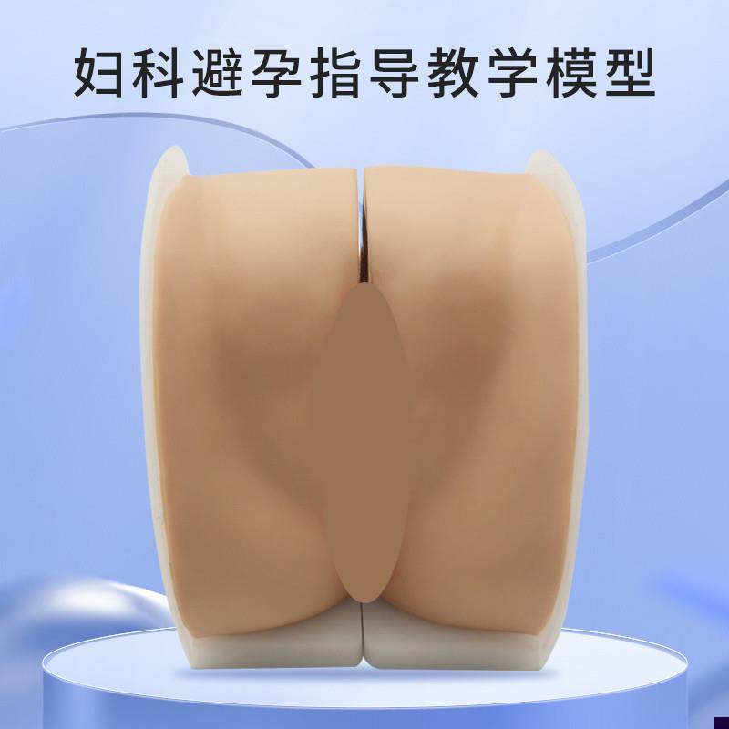 女性生殖器模型h宫颈子宫阴道卵巢妇科检查生殖私密教学1比1软硅