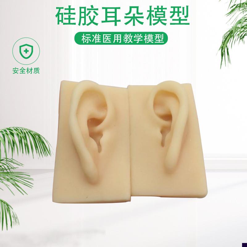 硅胶耳朵模型软TPR耳朵模型厂家G供应仿真人耳助听展示道具