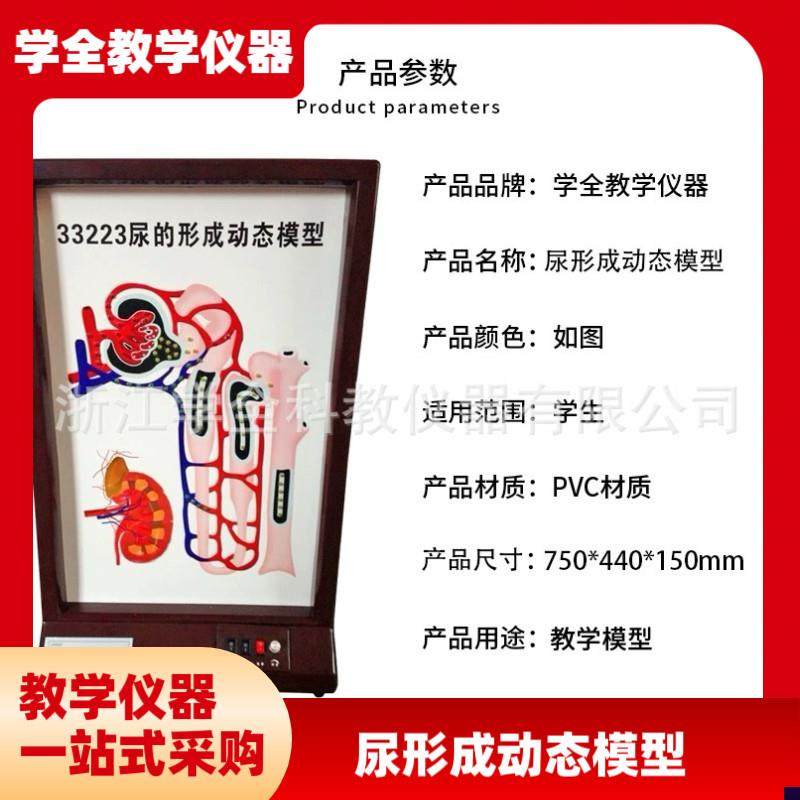 尿的形成动态模型电d动高中生物理液过程演示实验仪器师教学