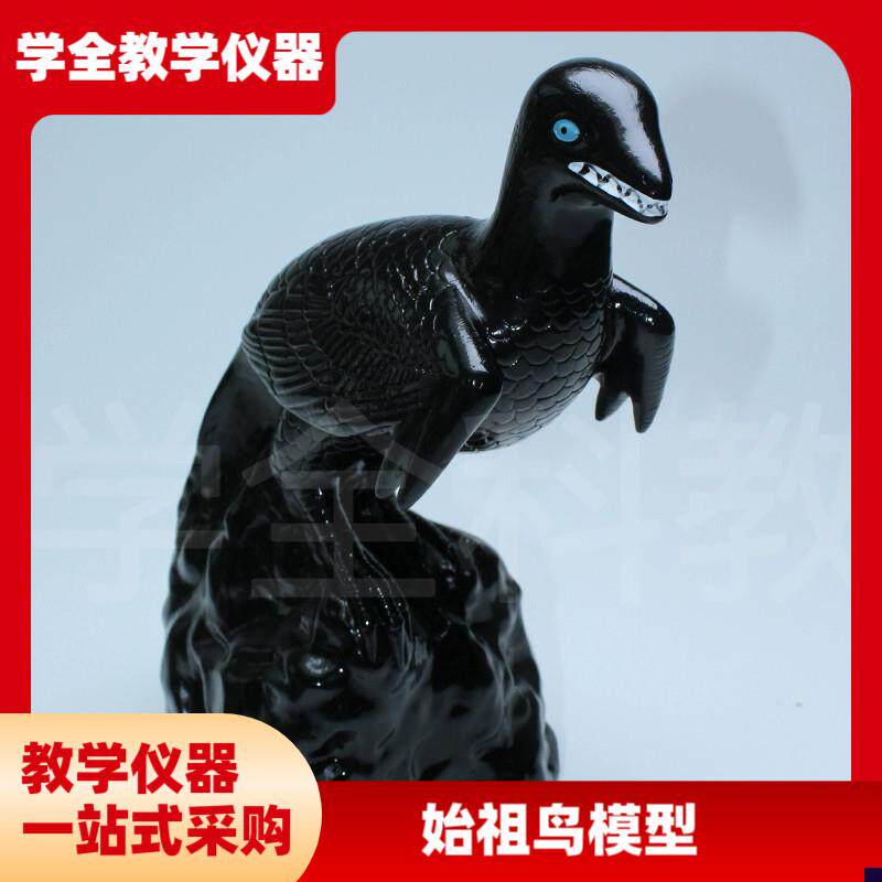 始祖鸟化石及复原模型生物科教仪器小学初高中生物科.学教学模型