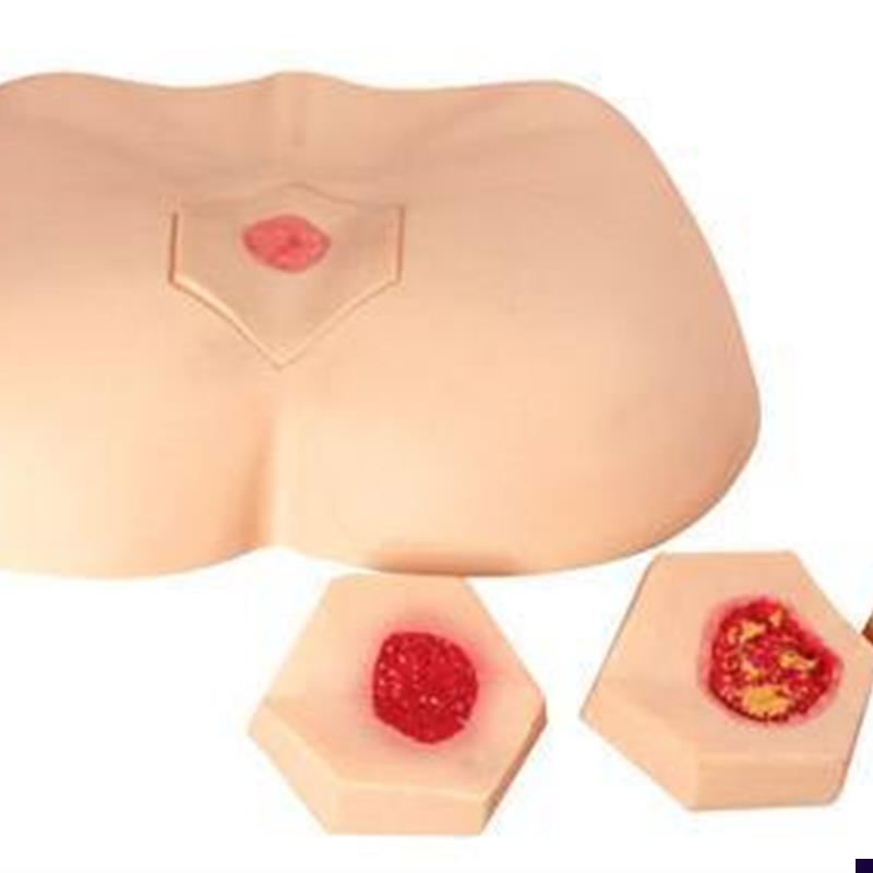 四个不同阶段褥I疮护理训练模型