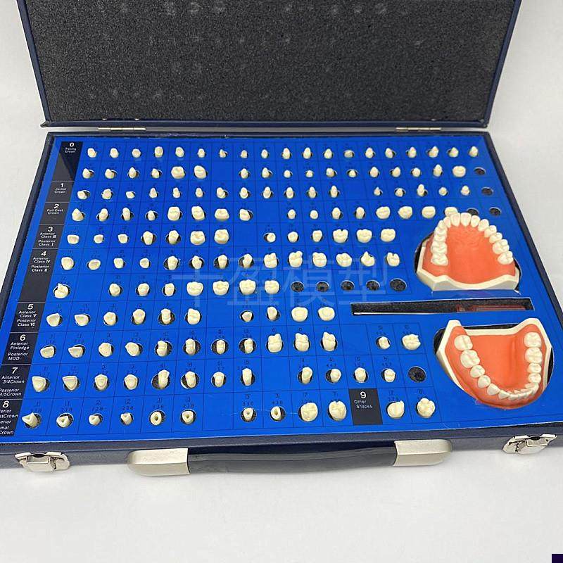 口腔齿科备牙模型牙体制备窝洞义齿加工模型技工牙U体预备展示模