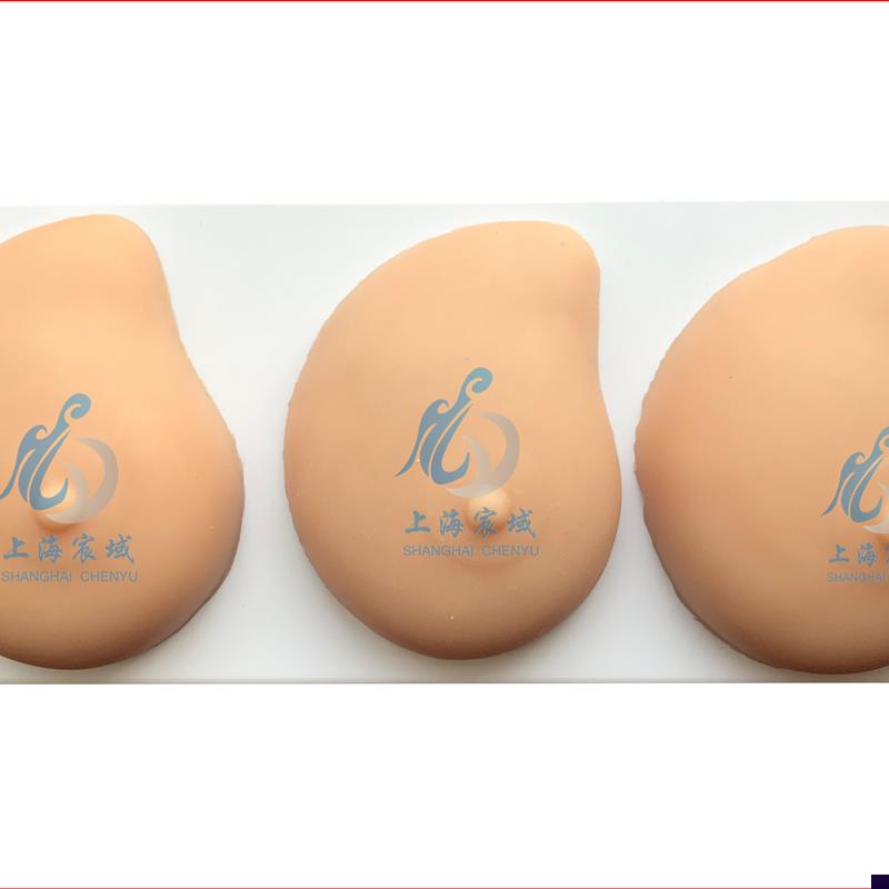 病理乳房d模型乳房自检模型病理硅胶医用教学模型