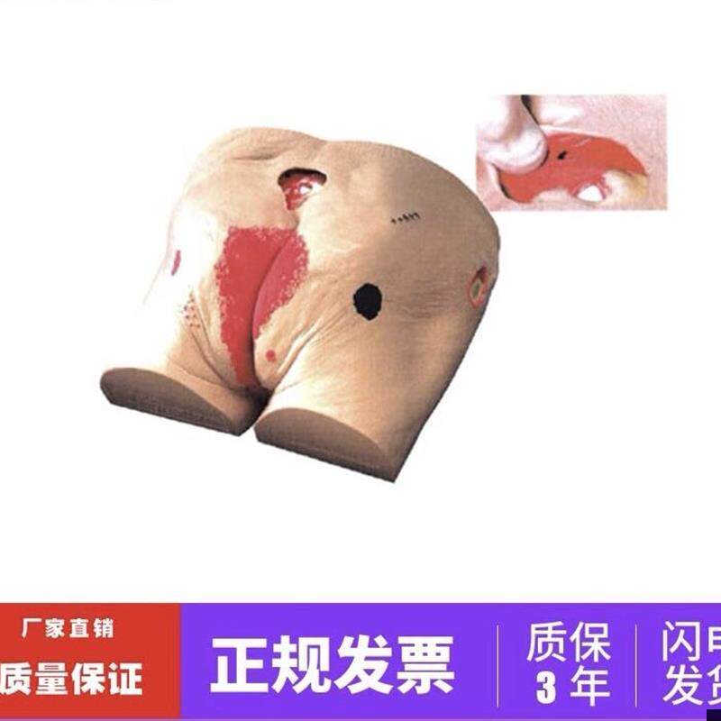 褥疮护理模型高级老年人褥疮压疮护H理模型医学用教学模型教具