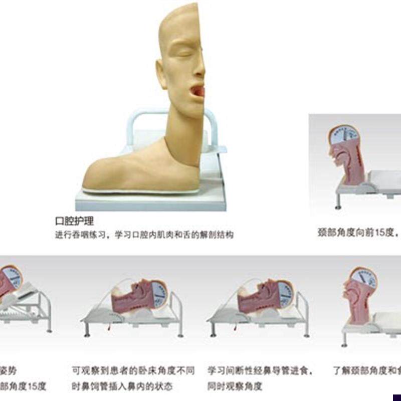 高级吞咽机制模型口腔护理模型吞咽与呼吸机Y制练习模型