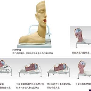 高级吞咽机制模型口腔护理模型吞咽与呼吸机Y制练习模型