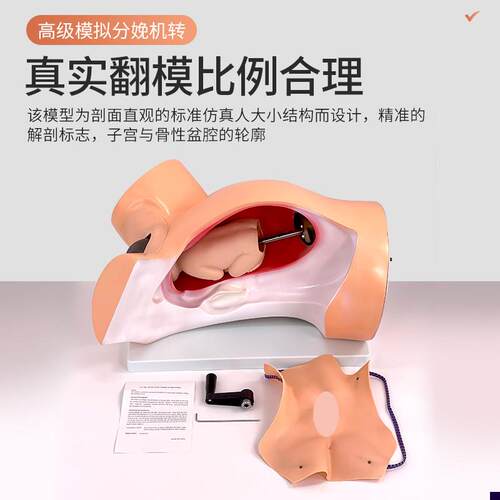 仿真教学分娩演示模型接生模型分娩机转示教模型Z妇产科教具