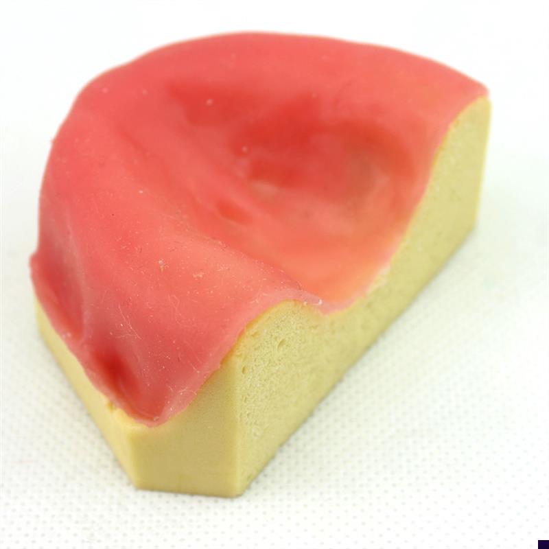 ENOVbO颐诺口腔即刻种植模型仿真下颌骨附牙龈模型种植牙训练培训