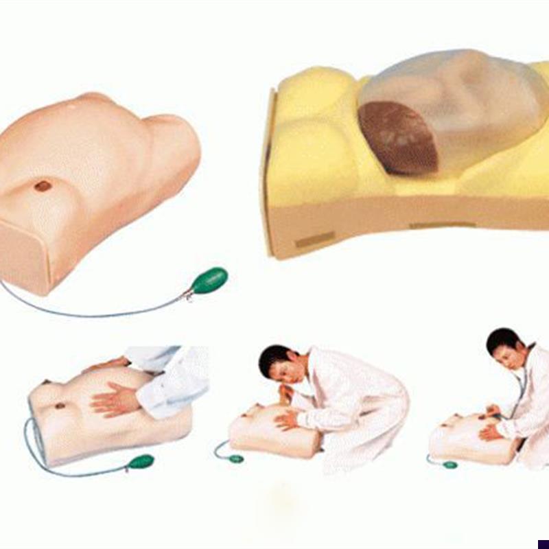 高级电脑孕妇检查模型妇科检查模具I怀孕检查模型电子检查人