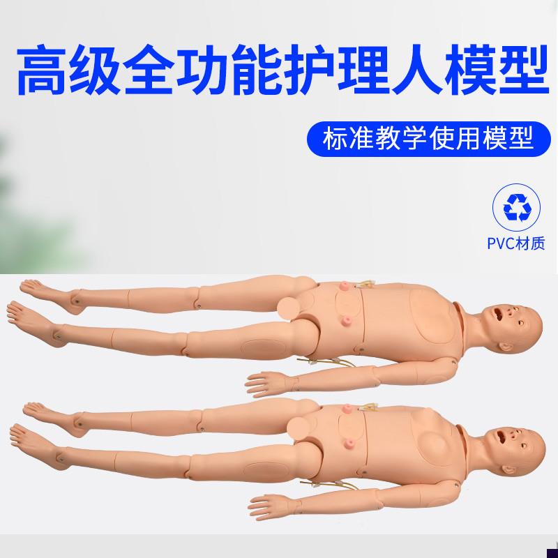高级全功能护理人体模o型男女导尿模型带内脏褥疮口鼻插管吸痰洗