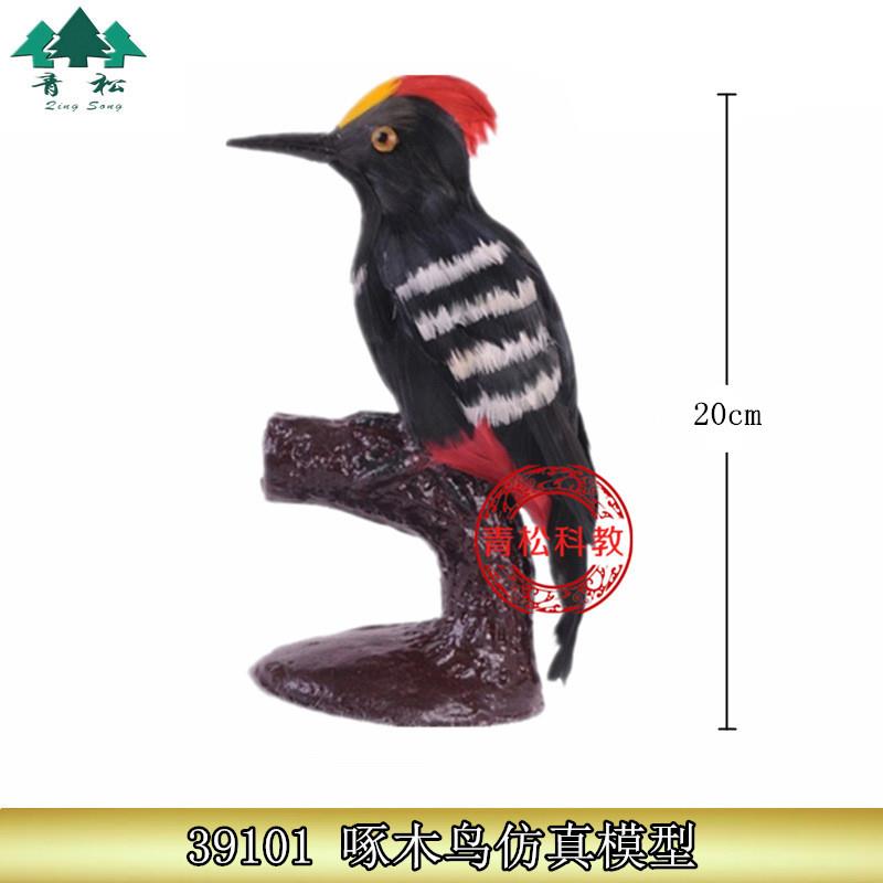 39101啄木鸟仿真模型自然大用羽毛制作小学科学S生物标本静态模型