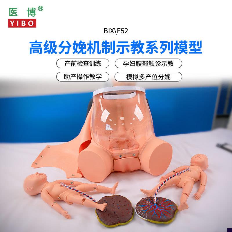 医博BIX-F52高级分娩机制教学模型孕妇产前检查腹部检查助产教学
