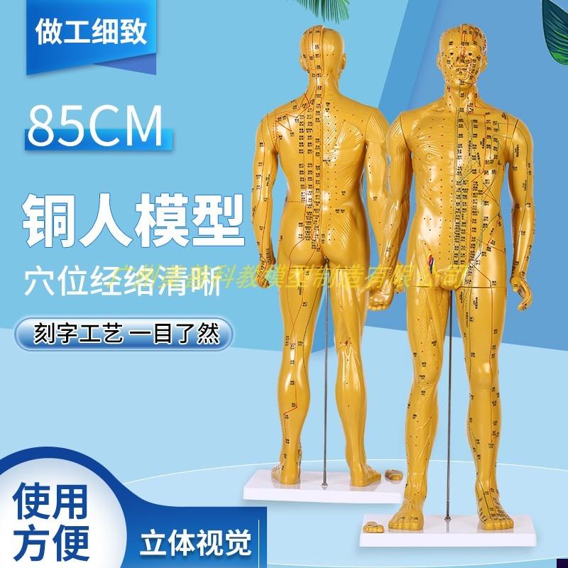 85cm超清晰经络通针灸铜人体穴位E模型中医针灸人体模型十二经络