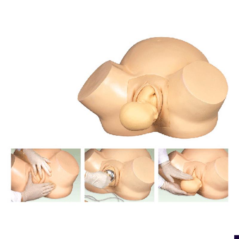 高级分娩助产难产训练模型妇幼高级训练模T型助产练习模具