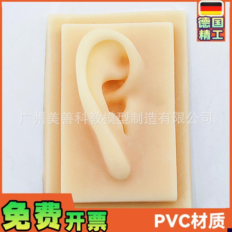 硅胶耳朵b模型软TPR耳朵模型仿真人体耳模助听展示道具一对