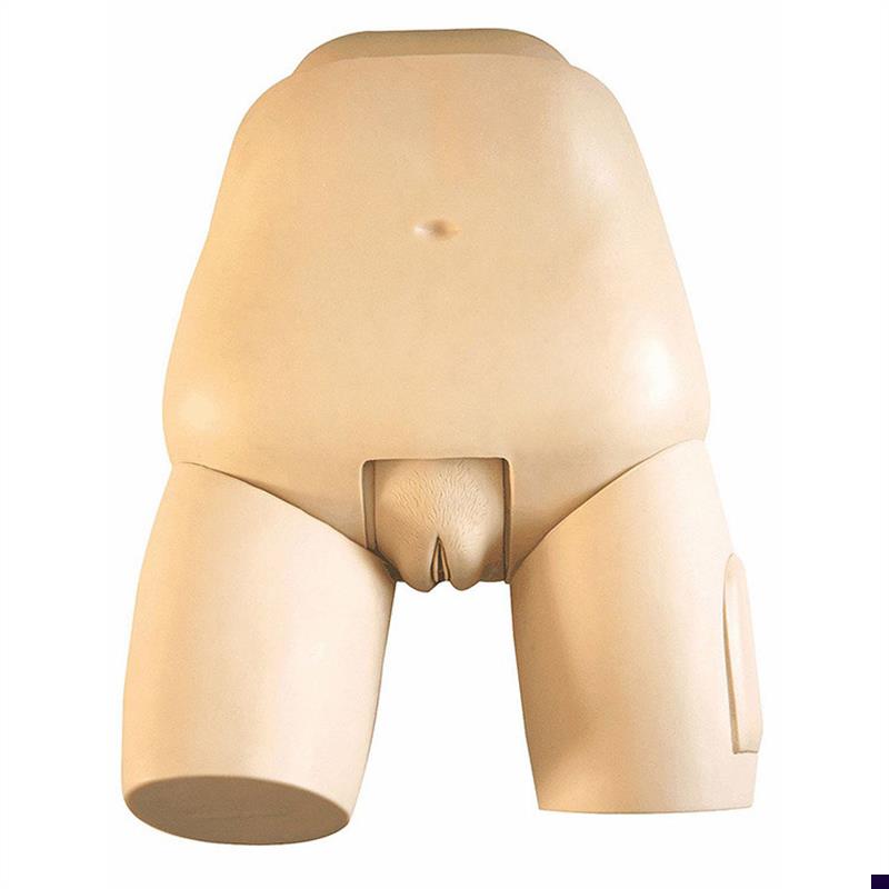 高级子宫底检查评p定模型妇幼婴产科技能训练考试模具