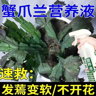 适合各种花的营养液蟹爪兰专用肥营养液催花肥料免稀释拯快速生根