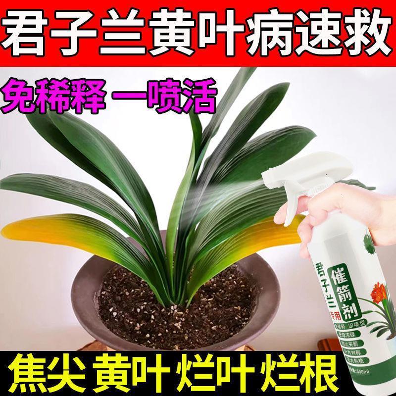 适合各种花的营养液君子