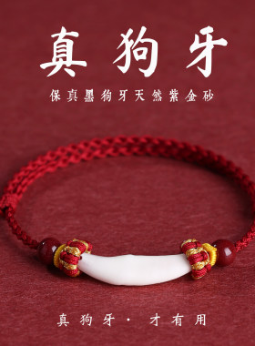真狗牙婴儿手绳小宝宝僻邪红绳