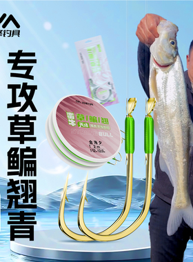 川泽无结加长子线双钩成品绑好有刺金海夕鱼钩草鱼翘嘴鲢鳙专用钩