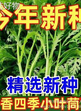 Small leaved artemisia seeds, artemisia emperor vegetable s