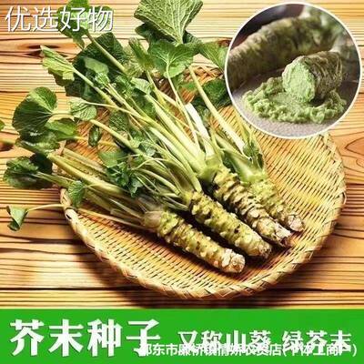 Complete List of Herbal Mustard Seeds, Green Mustard, Horse