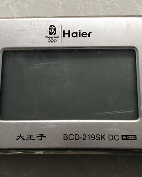 原装拆机 BCD-219SKDC 显示板 0060820756E 0064001049B