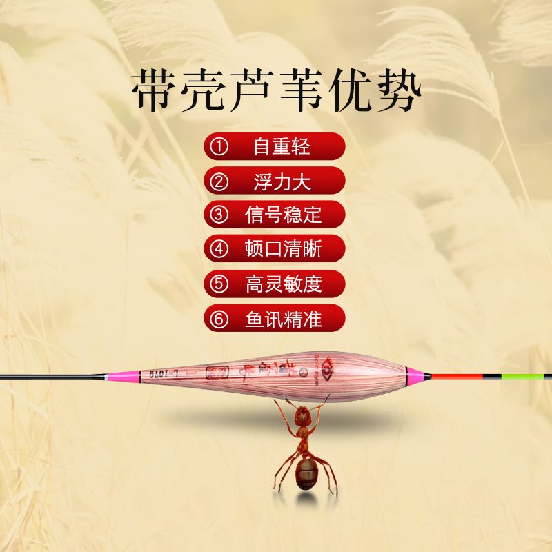 黄金眼官方浮漂正品芦苇