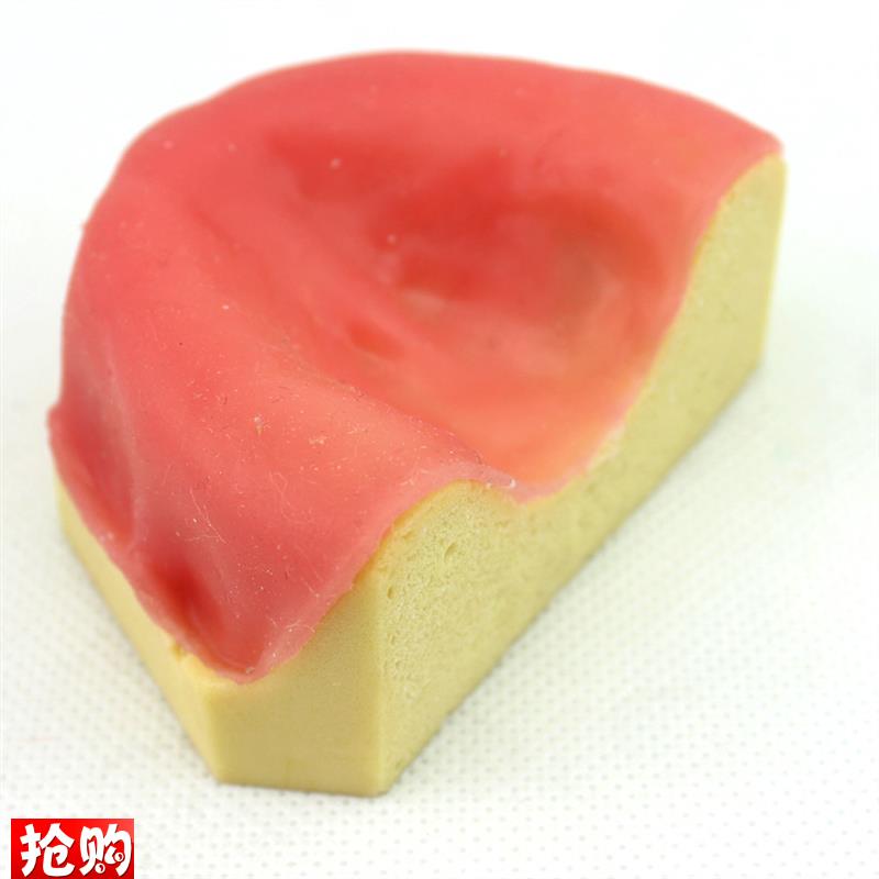 ENOVO颐诺口腔即刻r种植模型仿真下颌骨附牙龈模型种植牙训练培训
