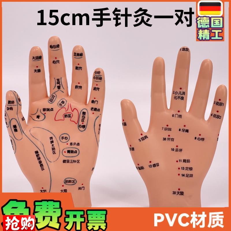 超清晰小儿手部反射区模型中医推拿E针灸教学穴位模型儿童仿真手