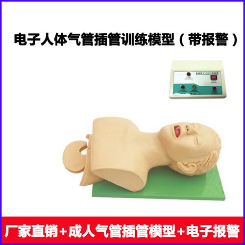 电子人体气管插管训练模型(带牙齿B受压报警)口腔鼻腔气管插管训
