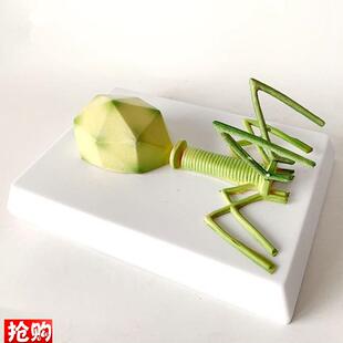 噬菌体模型感染细菌真菌藻类B放线菌螺旋体微生物学校实验