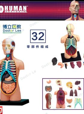 人体器官解剖拼装模型大脑内脏肌肉骨骼医D学教学DIY玩具4DMASTER