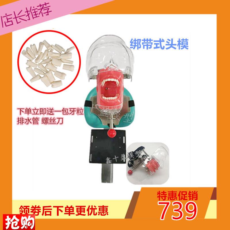 牙科仿真头模备牙练习口腔头颅种植D根管教学牙模开髓模型教学设