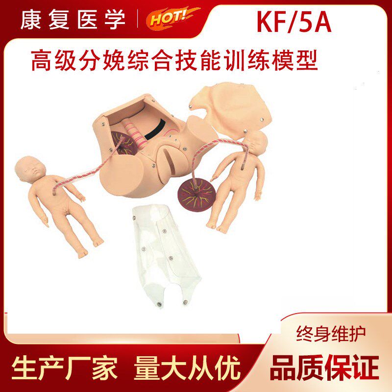 高级分娩综合技能训练模型助产模型胎儿模型分娩综合技.能训练模