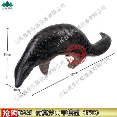 3235仿真穿山k甲模型生物教学科教仪器初高中标本动物摆件展示