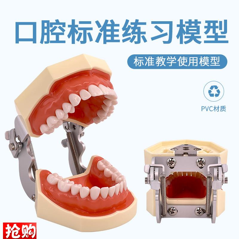 标准牙颌模型口腔科备牙排龈练习牙齿可替换日进R牙颌配FE咬合架