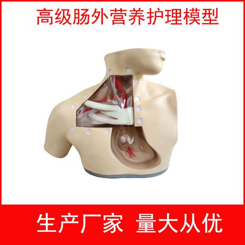 高级肠外营养护理模型 中心静脉插管穿刺J训练习模型 透明胸腔模