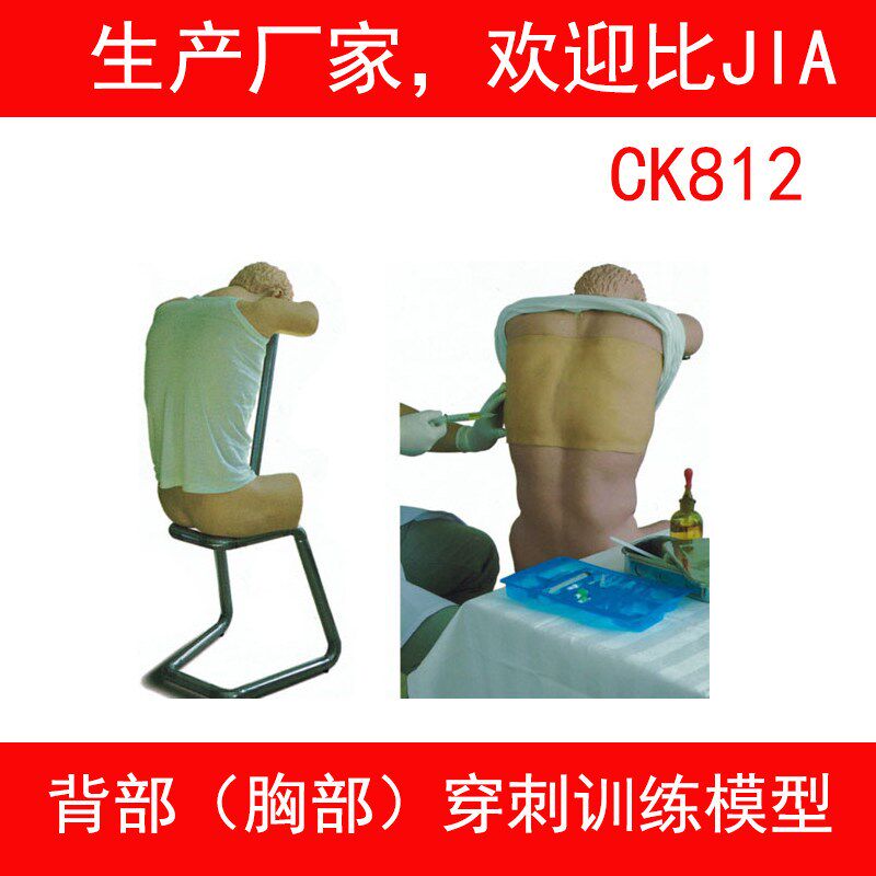 CK812 胸腔穿刺背部胸部穿刺训E练模型 医学培训护理综合模拟人