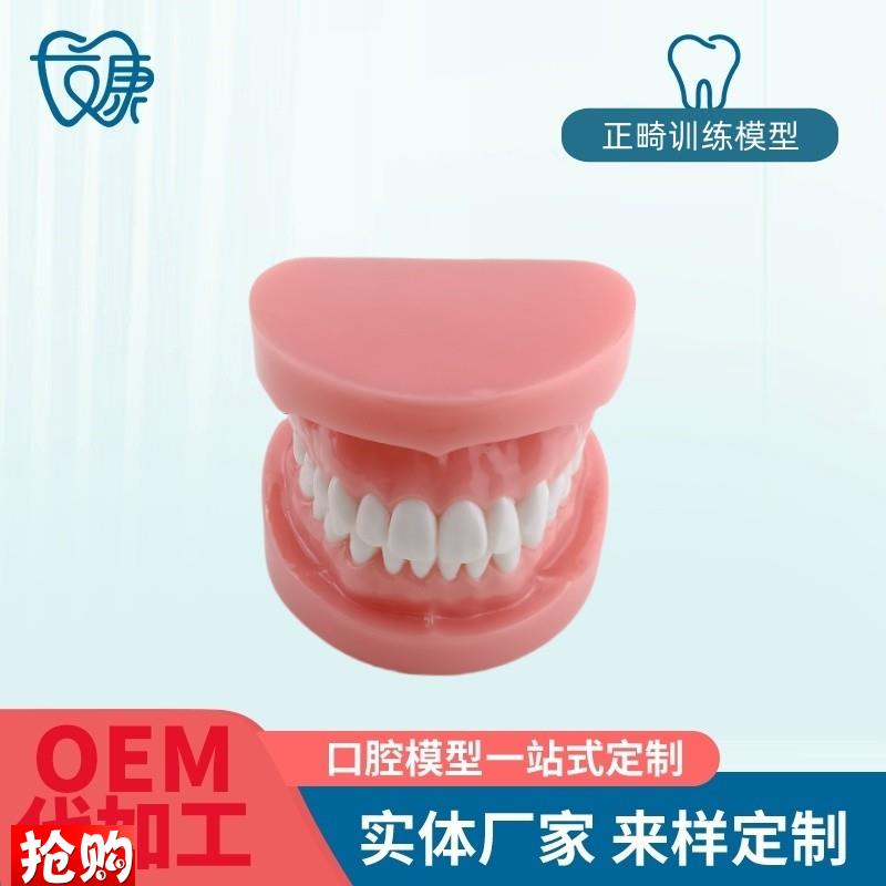 正畸错位牙齿模型牙齿q矫正模型厂家直供口腔教学模型牙齿托槽矫